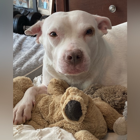 Meet your Posher, Shanna - Picture 2 of 3